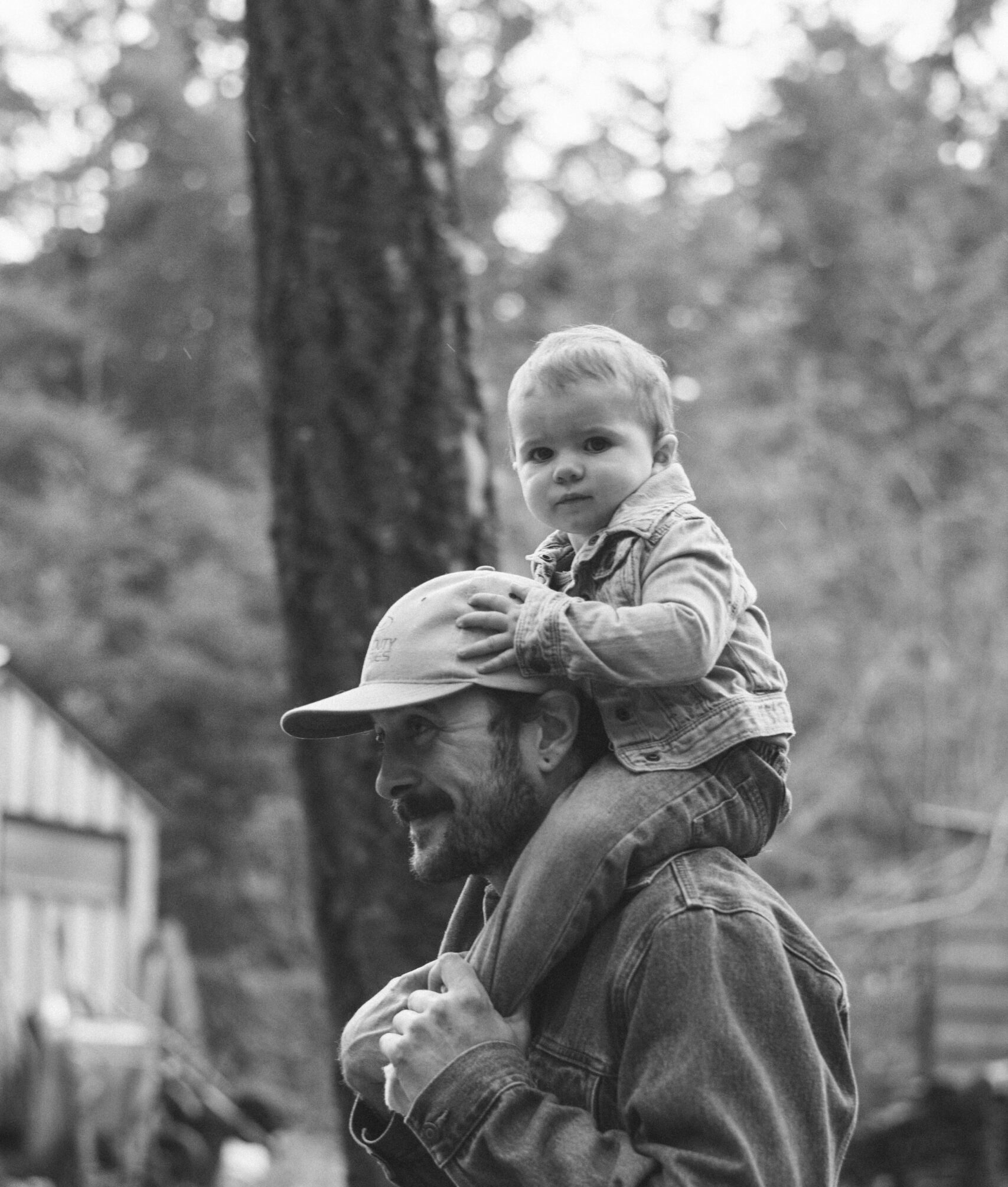 Whistler Landscaping & Hardscaping Company