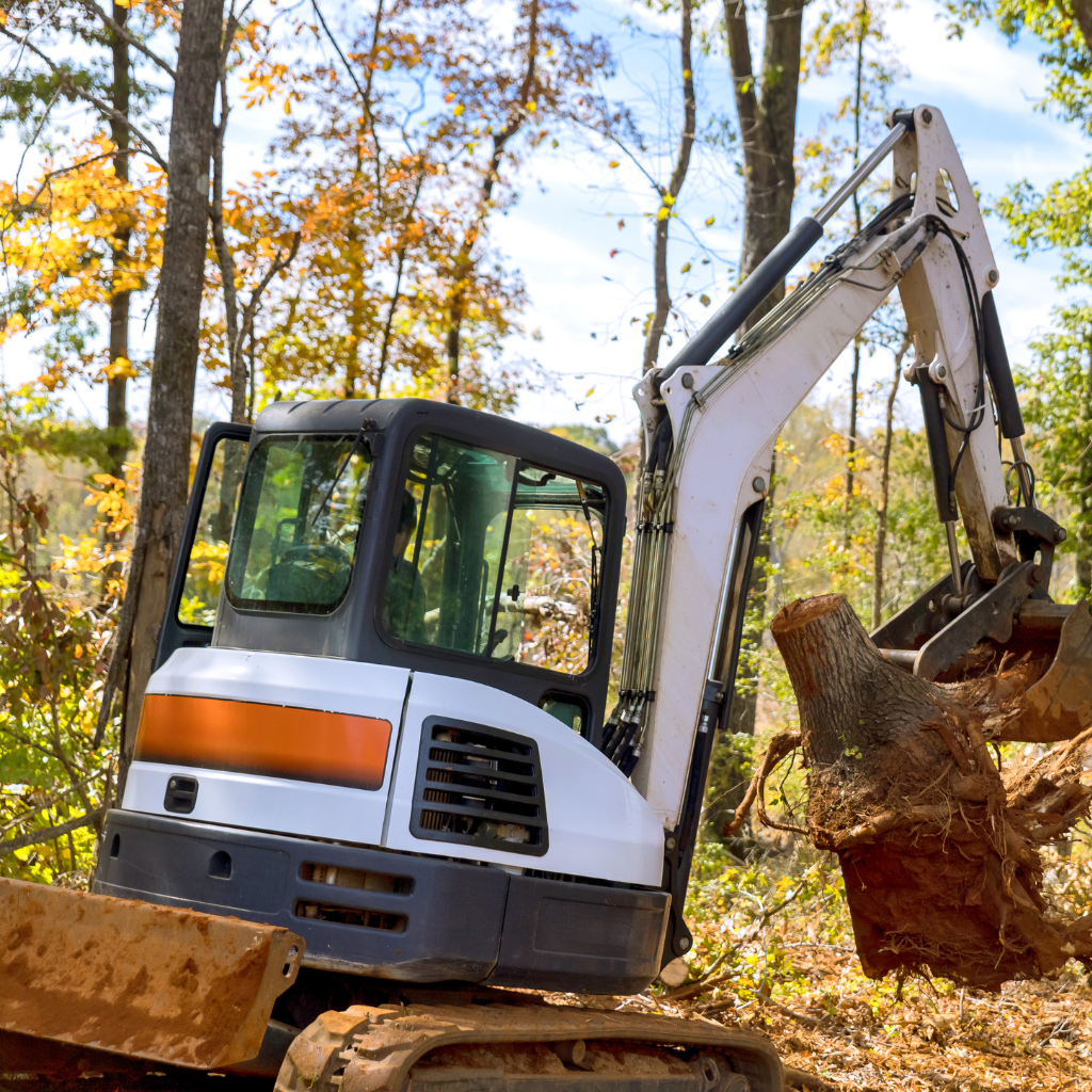 Landscape Excavation